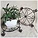 Supporto Grande Rotondo Nero Da Pavimento Per Bonsai - Diametro 30 Cm Bronze - Foto miniatura 6