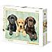 Puzzle 1000 Pz - High Quality Collection - I Tre Labrador - Foto miniatura 1
