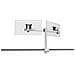 Monitor Mount for 2 Monitors, Table Clamp 508523 - Foto miniatura 3