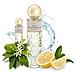 Nuovo Saphir Romantica N 2 Eau De Parfum 200ml Spray - Foto miniatura 1