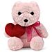 Orso Ellie Con Un Cuore Peluche (21cm) - Foto miniatura 1