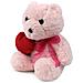 Orso Ellie Con Un Cuore Peluche (21cm) - Foto miniatura 3