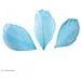 50 Piume - Azzurro - Foto miniatura 1