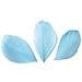 50 Piume - Azzurro - Foto miniatura 3
