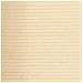 Rete Per Privacy In Hdpe 1,5x50 M Beige - Foto miniatura 3
