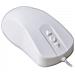 Mouse Igienico AK-PMH12 Ottico 2 Tasti 1000 DPI Colore Bianco - Foto miniatura 2