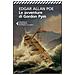 Edgar Allan Poe - Le avventure di Gordon Pym - Foto miniatura 1