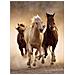 Puzzle Animals Running Horses 1000 pz 68 x 48 cm 39168 - Foto miniatura 2