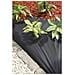 Coperta Mulching - Nera 50 Gr / M² - 1x10 M - Foto miniatura 3