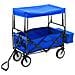 Carrello Pieghevole a Mano con Tettuccio in Acciaio Blu - Foto miniatura 2