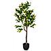 Albero Di Arancio Artificiale Decorativo Verde 55x55x120 - Foto miniatura 1
