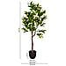 Albero Di Arancio Artificiale Decorativo Verde 55x55x120 - Foto miniatura 3