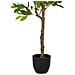 Albero Di Arancio Artificiale Decorativo Verde 55x55x120 - Foto miniatura 5