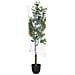 Albero Di Arancio Artificiale Decorativo Verde 55x55x120 - Foto miniatura 7