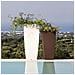 Vaso Agave In Resina Quadrato Ghiaccio H70 33x33cm - Foto miniatura 5