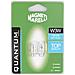 Lamp Marelli W3w 12v 3w (2pz)  - Foto miniatura 1