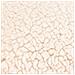 Cuccia Per Cani In Schiuma Viscoelastica Jaxx 60x25cm Beige - Foto miniatura 5