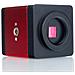 Camera Microscopica Draco Red Pro Kmdrp-hdmi-vga - Alta Fedeltà Cromatica | 2mp, Fullhd, 60fps | Uso Professionale E Didattico - Foto miniatura 2