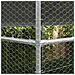 Gabbia per polli Argento 800 x 200 x 198.5 cm Acciaio zincato - Foto miniatura 3