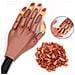 Nail Art Training Mano Per Le Unghie - Foto miniatura 4
