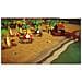 Videogioco Playstation 5 Spirit Of The Island: Paradise Edition (fr) - Foto miniatura 5