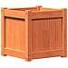 Fioriera Giardino Marrone Cera 40x40x40 Cm Legno Massello Pino - Foto miniatura 2