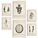 Set Di 6 Stampe Illustrazioni Mediche In Stile Vintage Di Arti E Cervello, Anatomia, Parti Del Corpo, Ossa E Muscoli A3 & A4 Cornice Bianca - Foto miniatura 1