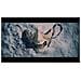 PlayStation 5 - Ghost of Yotei Gold Limited Edition 1 TB Wi-Fi Nero, Bianco - Foto miniatura 10