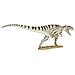 Ltd Prehistoric World - Giganotosaurus - Modello Di Statuetta Giocattolo Realistico Dipinto A Mano - Costruzione Di Qualità Con Materiali Sicuri E Senza Bpa - Dai 3 Anni In Su - Foto miniatura 4