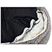 Cuccia Per Cani In Schiuma Viscoelastica Jaxx 50x20cm Grigio - Foto miniatura 4