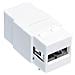 IWP-ADAP-AFBF - Adattatore Keystone USB 2.0 A Femmina / B Femmina Bianco - Foto miniatura 1