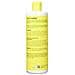 Shampoo Formicolio Al Mango Giamaicano E Lime, 16 Once - Foto miniatura 3