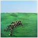 Squid - Bright Green Field (2 Lp) - Disponibile dal 07/05/2021 - Foto miniatura 1