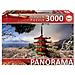 3000 Mont Fuji Et Wear - Foto miniatura 1