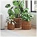 Cesto per Piante con archiviazione 3 pcs Marrone Rattan Kubu - Foto miniatura 2