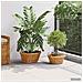 Cesto per Piante con archiviazione 2 pcs Marrone Rattan Lacak - Foto miniatura 6