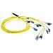 DC5556 cavo InfiniBand e in fibra ottica 30 m LC Giallo - Foto miniatura 1