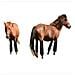 4-pack Horse Leg Protection Boots - Breathable Fly Protection - Foto miniatura 2