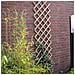 Pergolato Da Giardino 100x200 Cm Bambù 6040722 - Foto miniatura 8