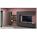 Parete Attrezzata Gualtiero, Set Salotto Porta Tv A 4 Ante, Mobile Soggiorno Multiuso, 100% Made In Italy, Cm 350x30h180, Antracite - Foto miniatura 1
