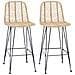Sedia da Bar 2 pcs Naturale 44,5 x 53 x 111 cm Rattan e Ferro - Foto miniatura 1