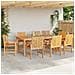 Set da Pranzo per Giardino 9 pcs Marrone - Foto miniatura 4