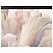 Pro 14 Premium PA14250 Copilot+ PC Intel Core Ultra 7 268V Computer portatile 35,6 cm (14") Full HD+ 32 GB LPDDR5x-SDRAM 1 TB SSD Wi-Fi 7 (802.11be) Windows 11 Pro Italiano Grigio - Foto miniatura 10