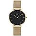 Orologio Da Donna Dw00100345 - Petite Evergold 36mm (zw500f) - In Ordine - Foto miniatura 3