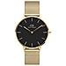 Orologio Da Donna Dw00100345 - Petite Evergold 36mm (zw500f) - In Ordine - Foto miniatura 1