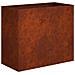 Vaso da giardino Ruggine 60 x 30 x 50 cm Acciaio Corten - Foto miniatura 1