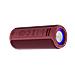 BTV-213BD altoparlante portatile e per feste Altoparlante portatile mono Rosso 100 W - Foto miniatura 2