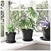 Vaso Rotondo per Fiori 6 pcs Nero Ø 17 x 14 cm Plastica - Foto miniatura 4
