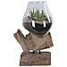 Terrario San Marino In Vetro A Goccia Su Base In Radice Di Teak 18x15xh25 Cm - Foto miniatura 3