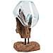 Terrario San Marino In Vetro A Goccia Su Base In Radice Di Teak 18x15xh25 Cm - Foto miniatura 4